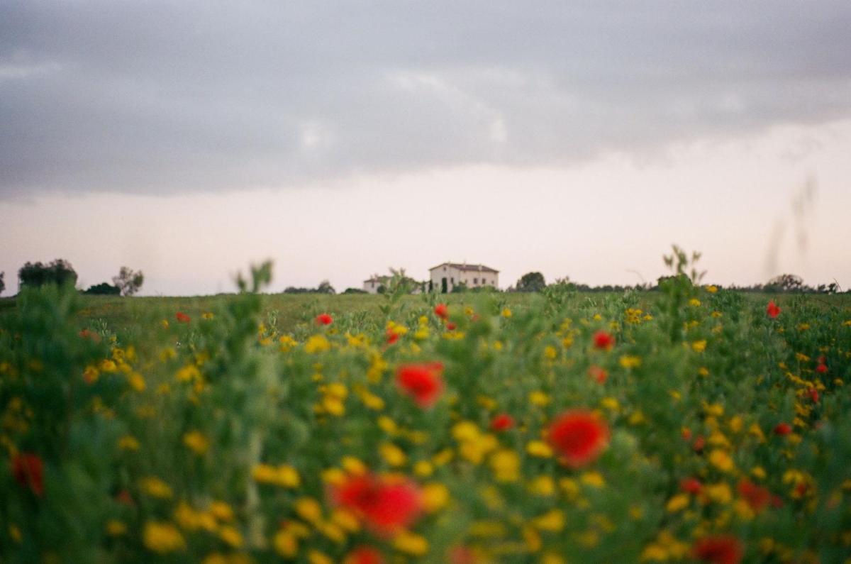 Tenuta La Castelluzza - Housity