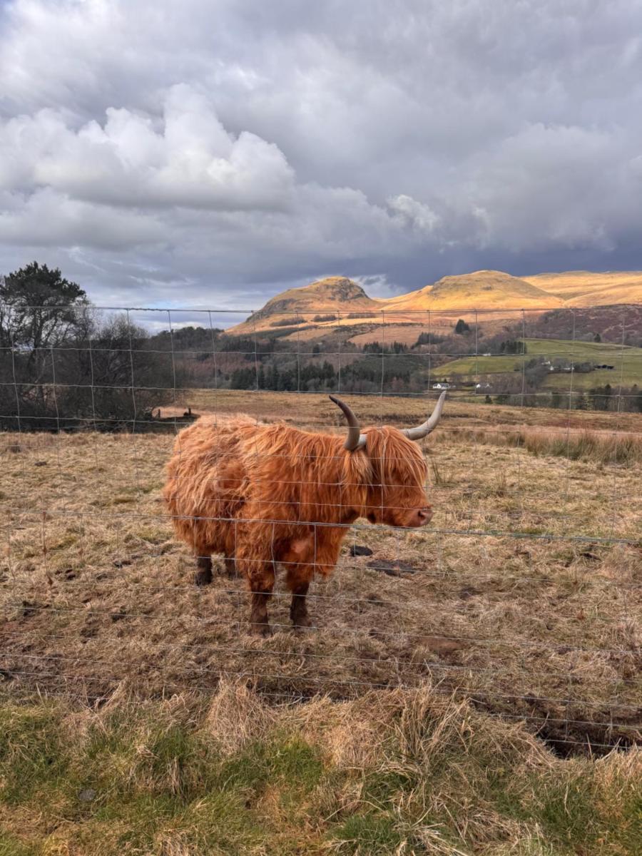 West Highland Way Campsite - Housity