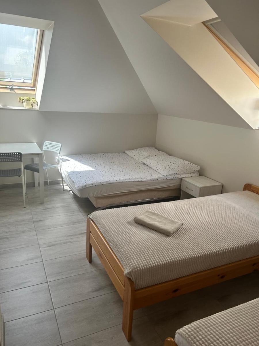 Noclegi u Alicji - Housity
