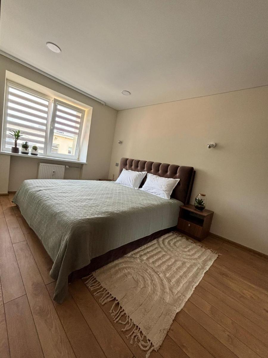 Suite Dreams - Hizvo