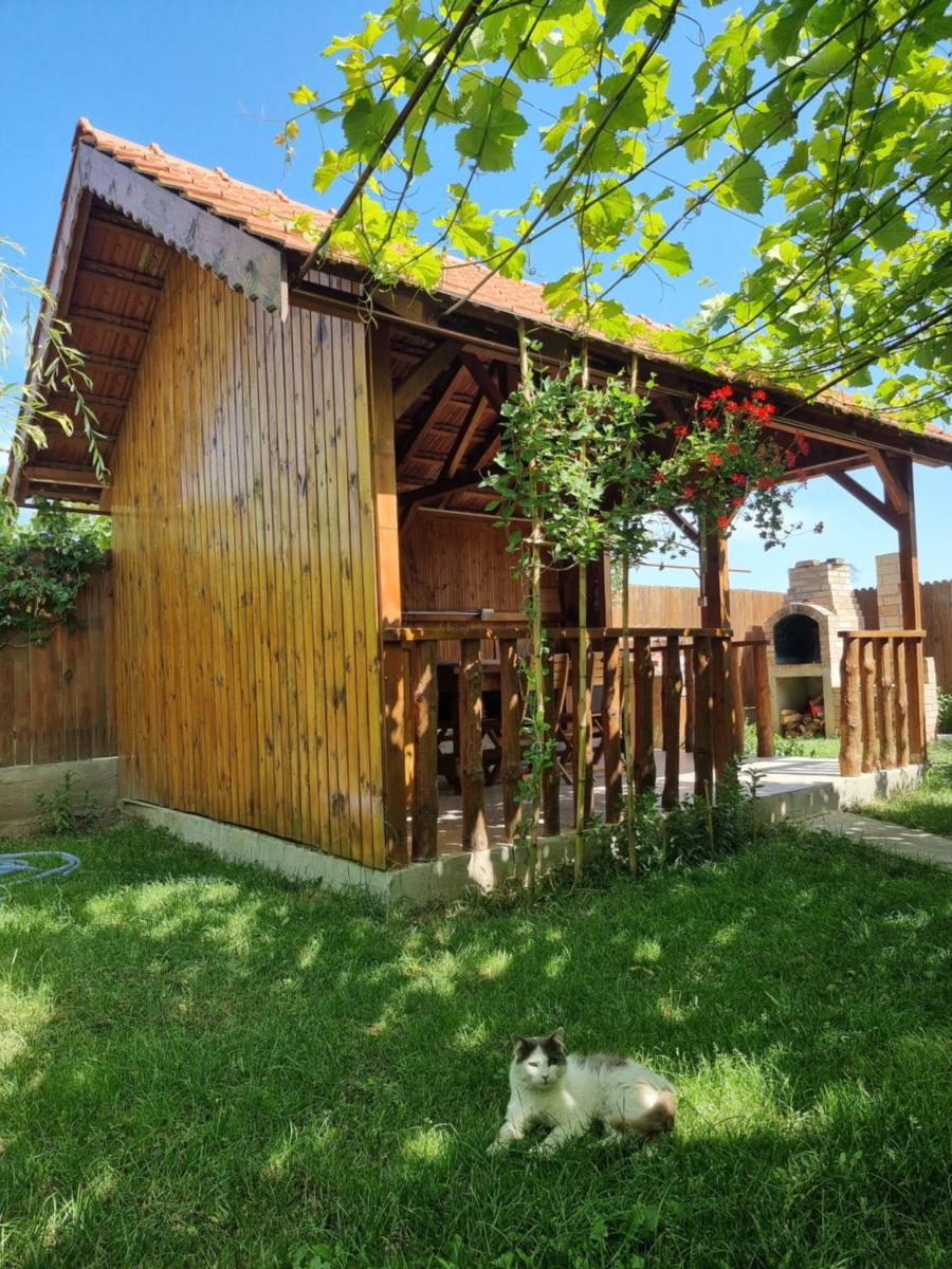 Casa Maru - Housity