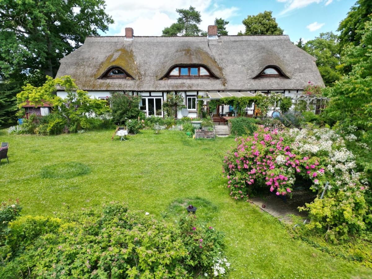Pfarrhaus Tollensesee - Housity