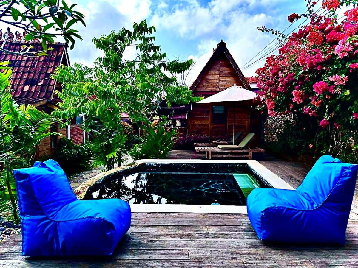 PINOKKIO B&B Restaurant - Housity