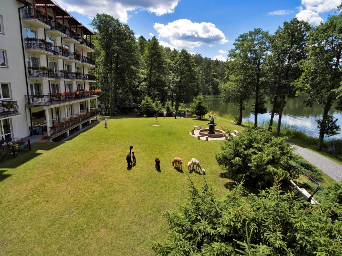 Hotel Nidzki - Housity