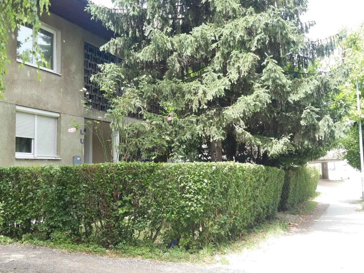 Apartman Nena - Housity