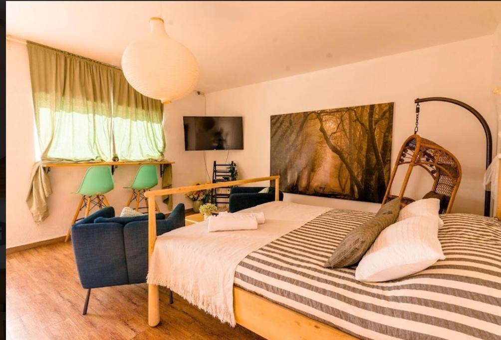 המקום של עופרי - Ofri's place - Housity