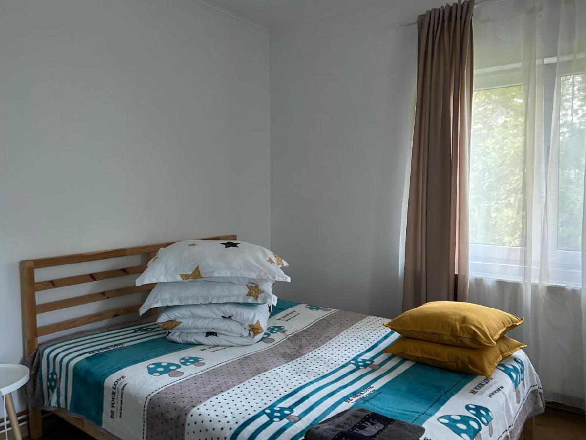 Pridvorul lui Viorel - Housity