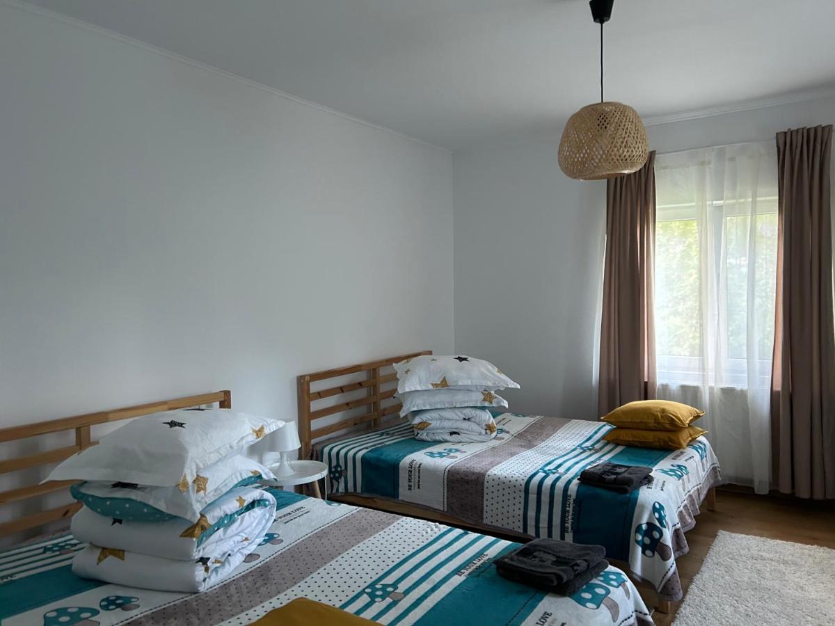 Pridvorul lui Viorel - Housity