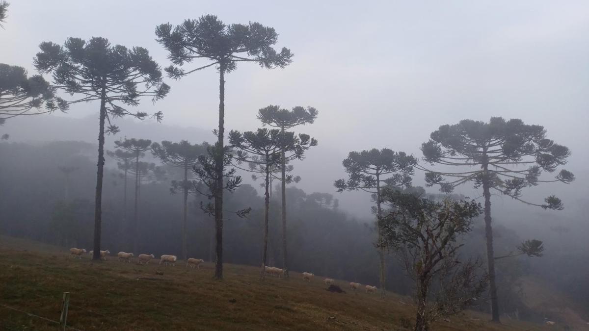 Hospedagem Cabanas do Lago Urubici - Housity