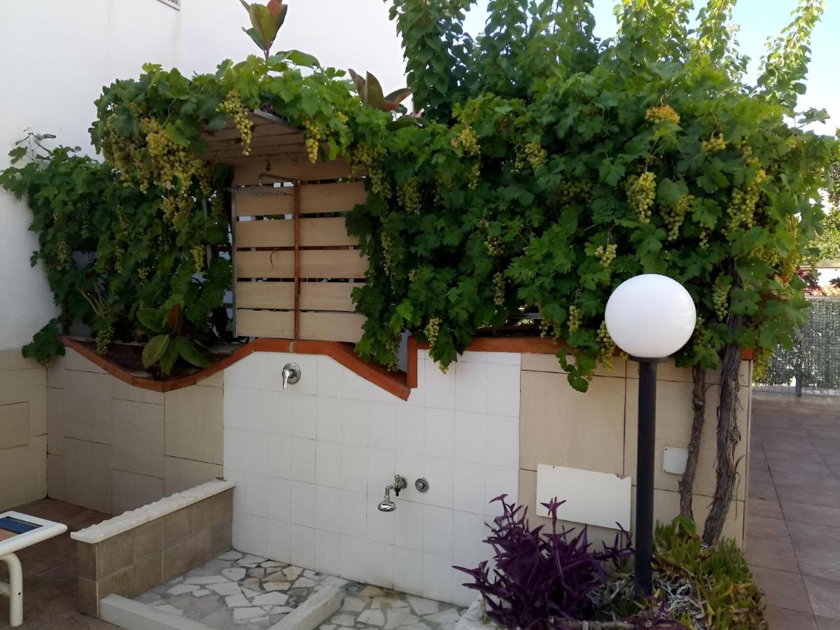 Casa Vacanze Mare Gargano lido del Sole - Housity