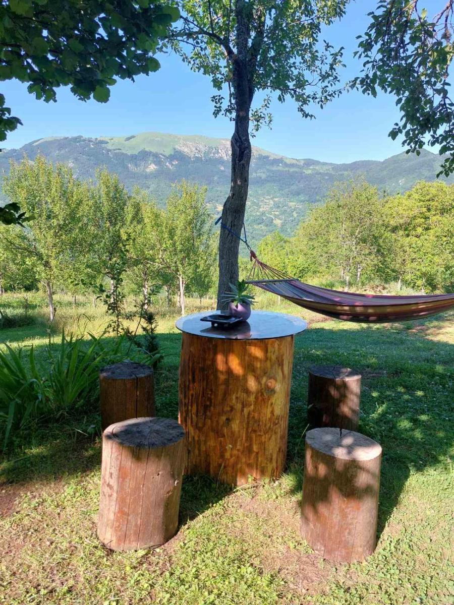 Etno guest house Lalovic - Housity