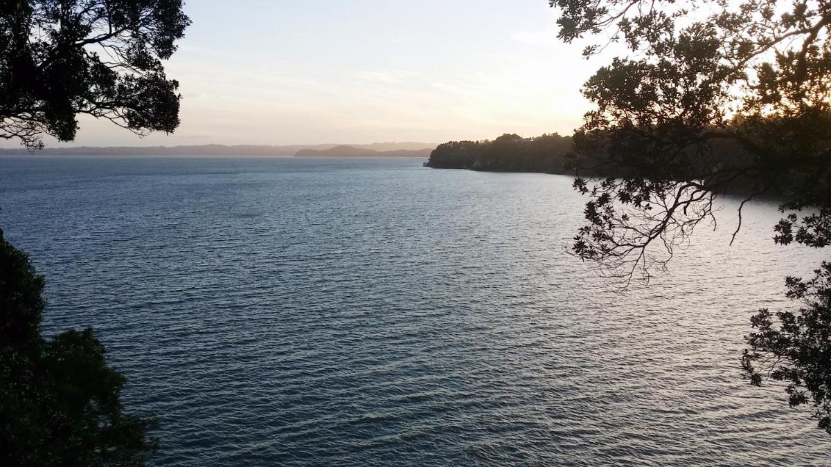 Auckland Clifftop - Housity