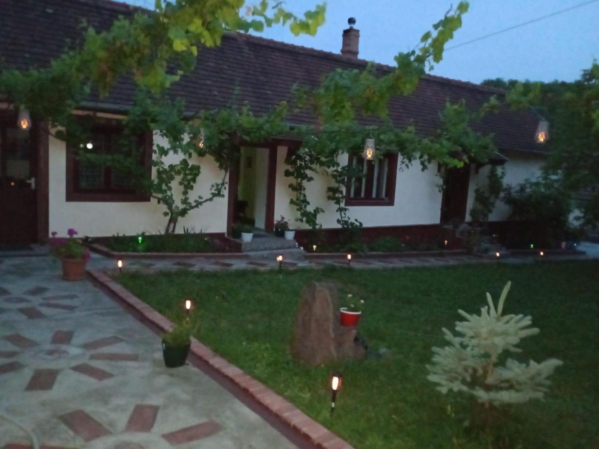 Casa Dragoi din Socolari, Caras - Severin - Housity