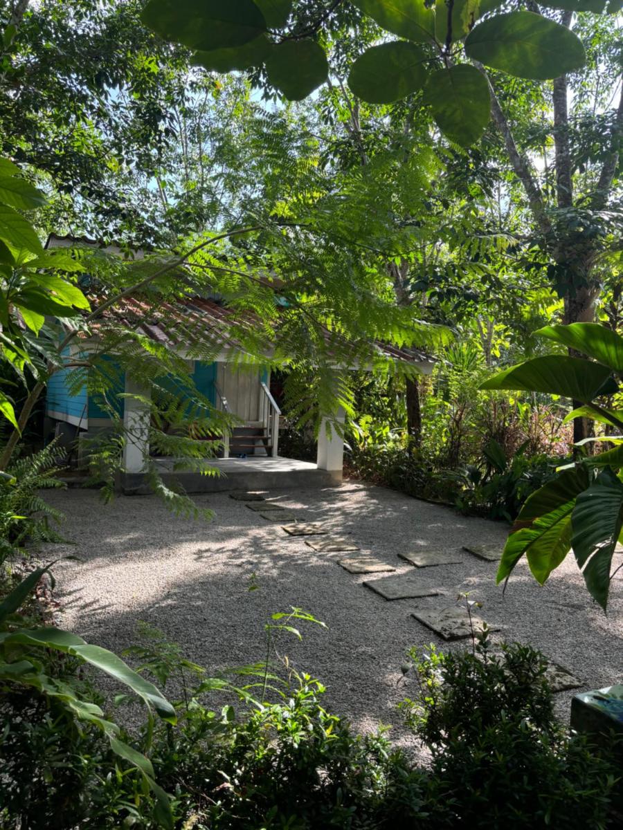 Baansuan Suksangob Farm Stay - Housity