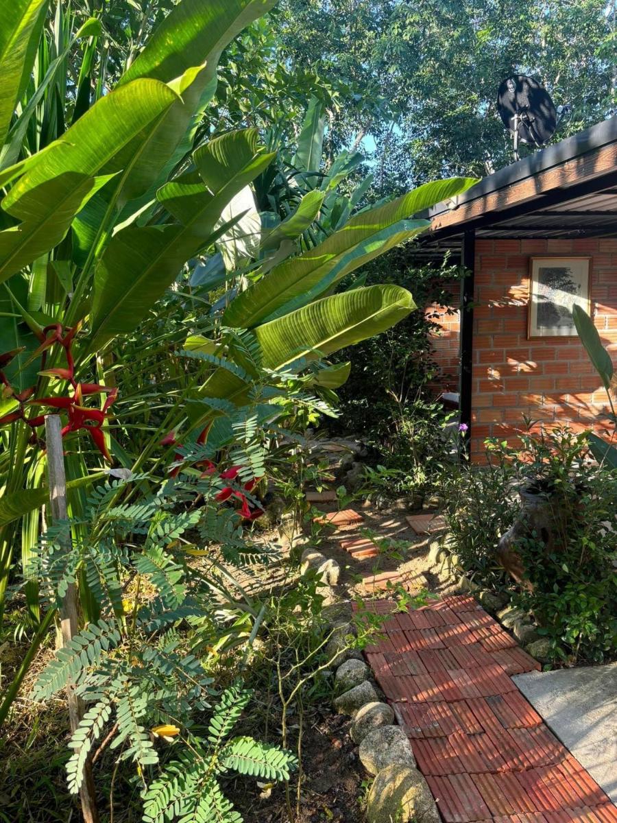 Baansuan Suksangob Farm Stay - Housity