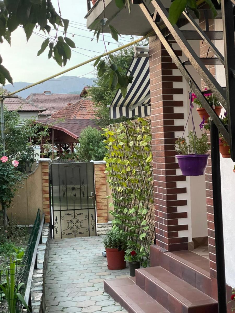 Casa Decebal - Housity