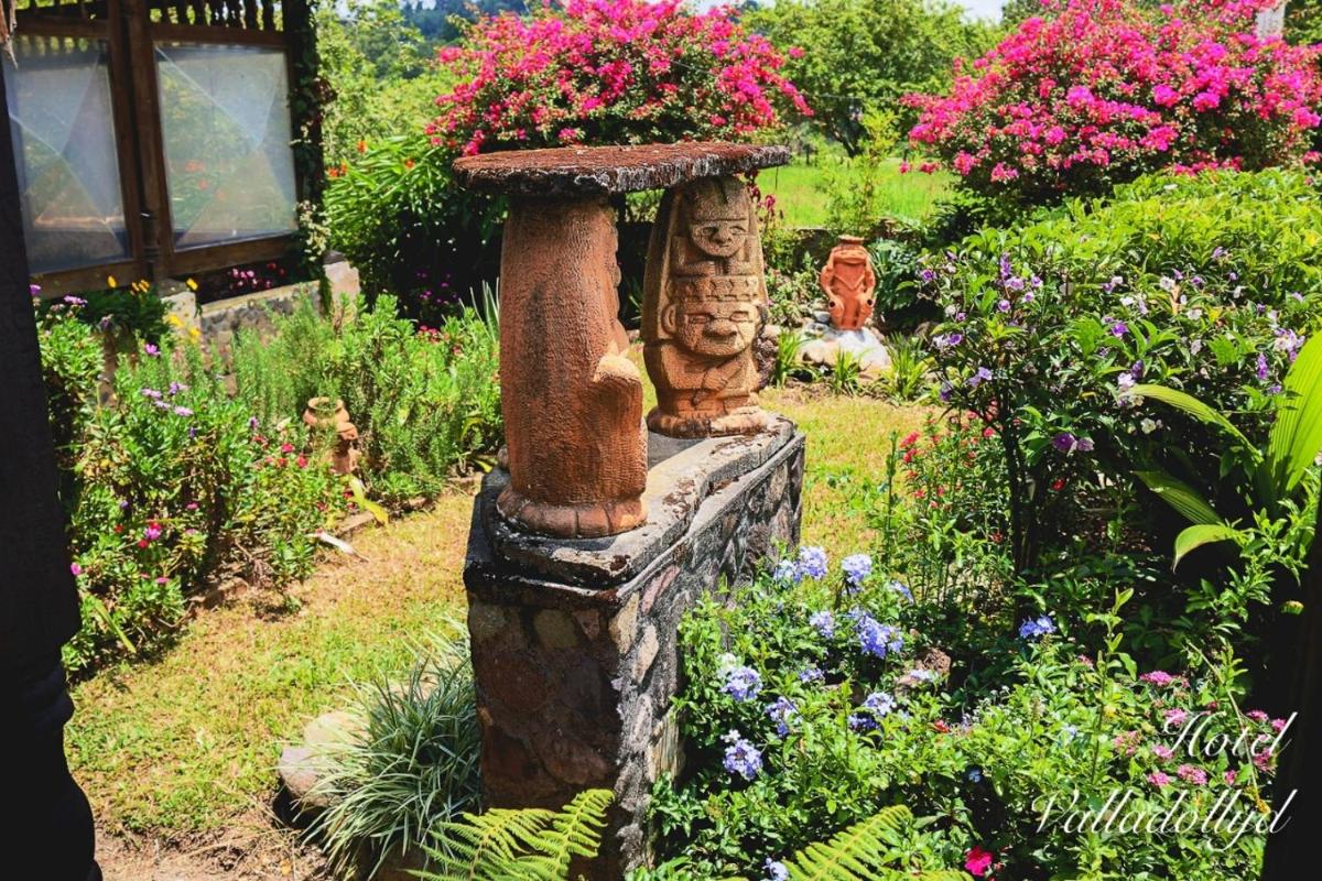Hotel Valladollyd San Agustín - Housity