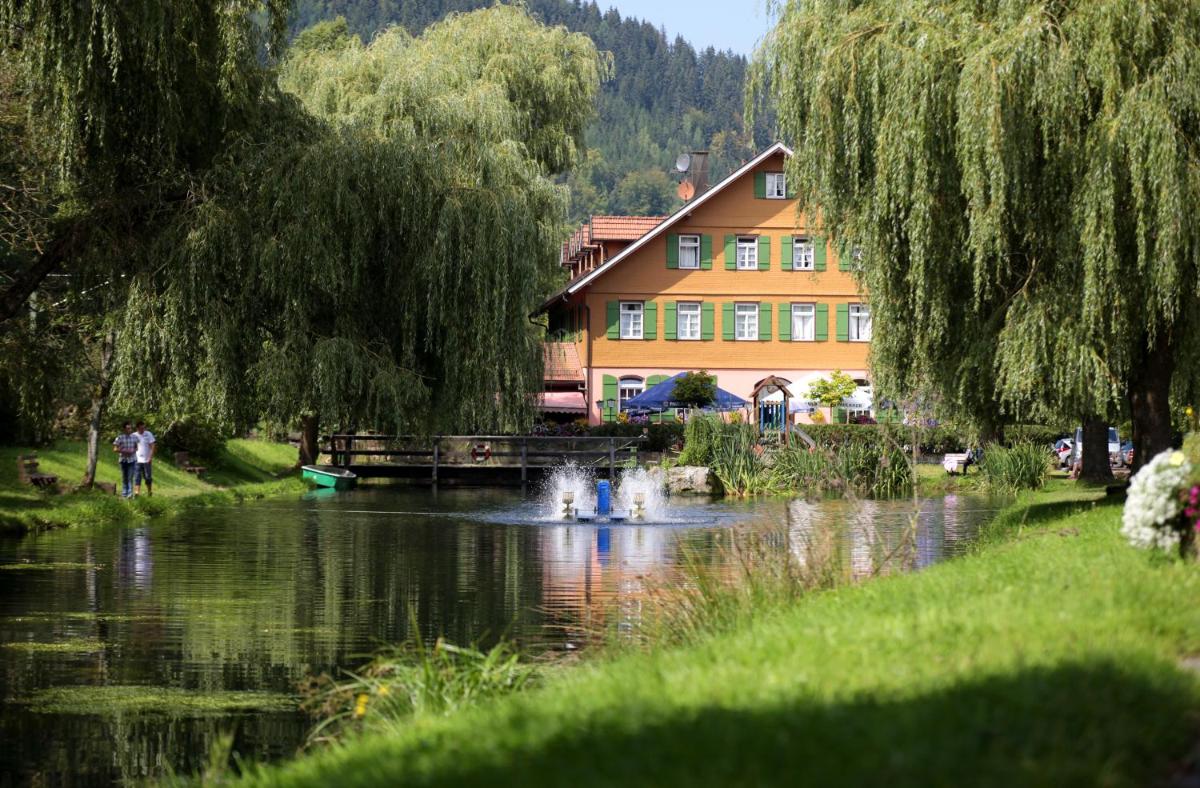 Hotel Zur alten Mühle - Housity