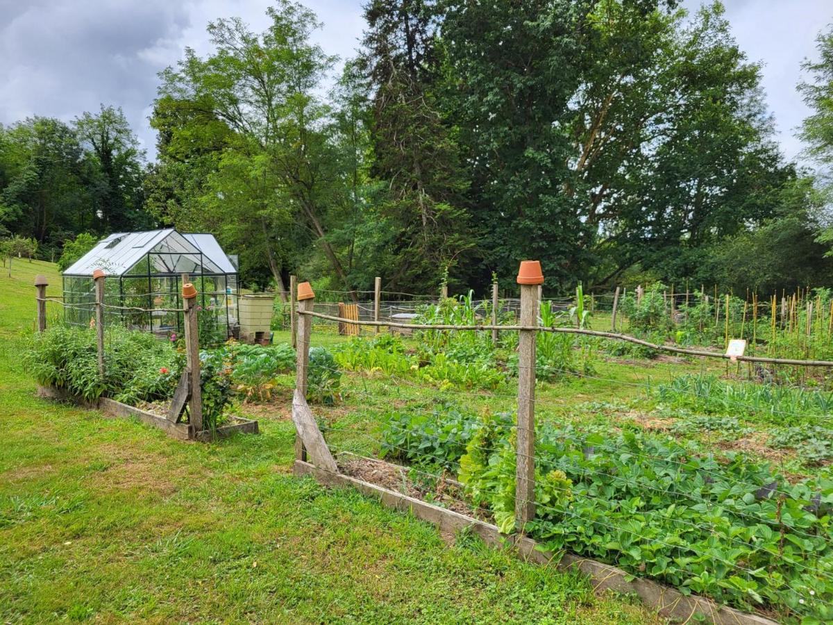 Jardin de l'établissement Logis Hôtel Restaurant Château Bellevue