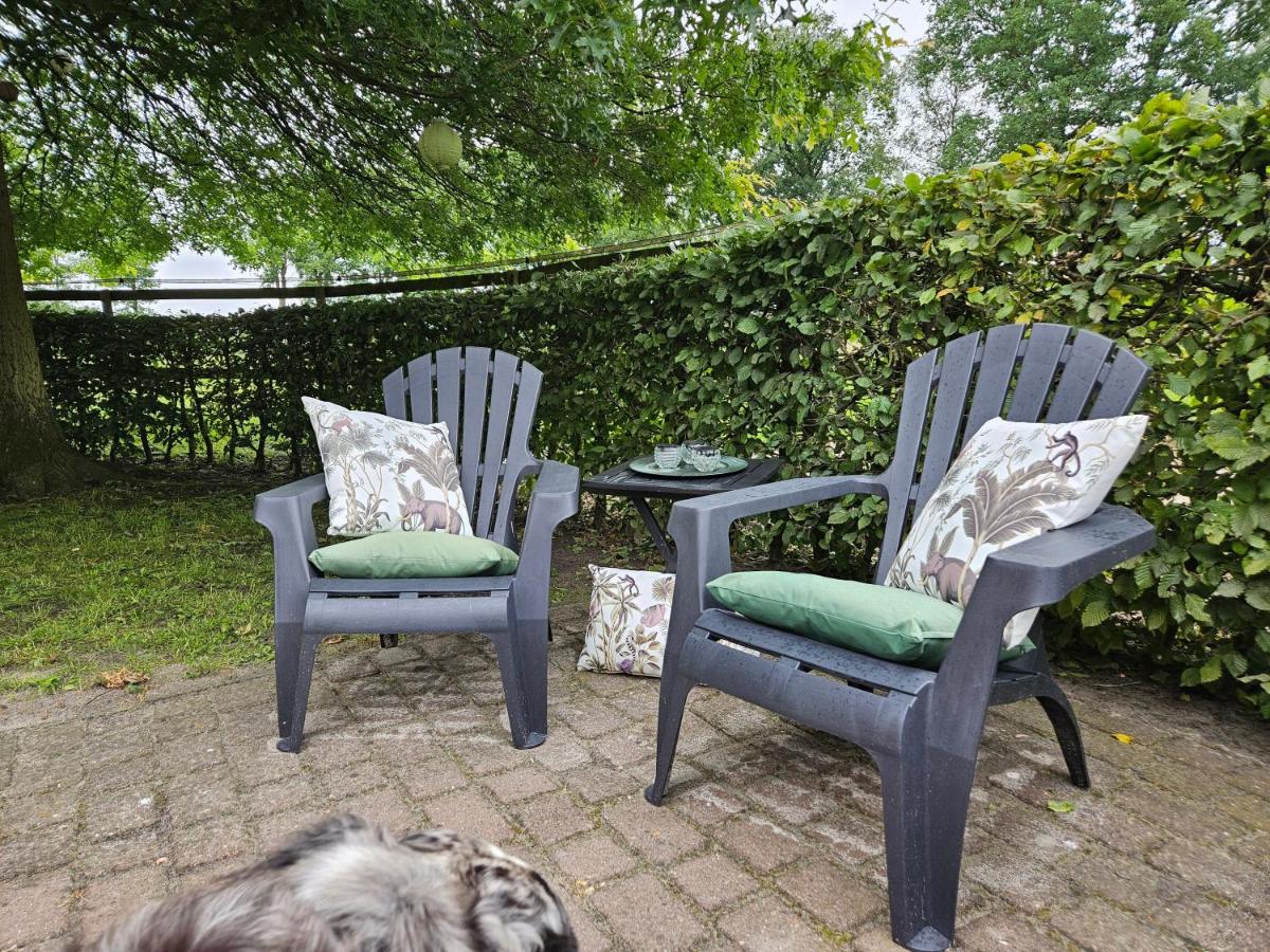 Kleines Ferienhaus Luettje Backhuus 35516 - Housity