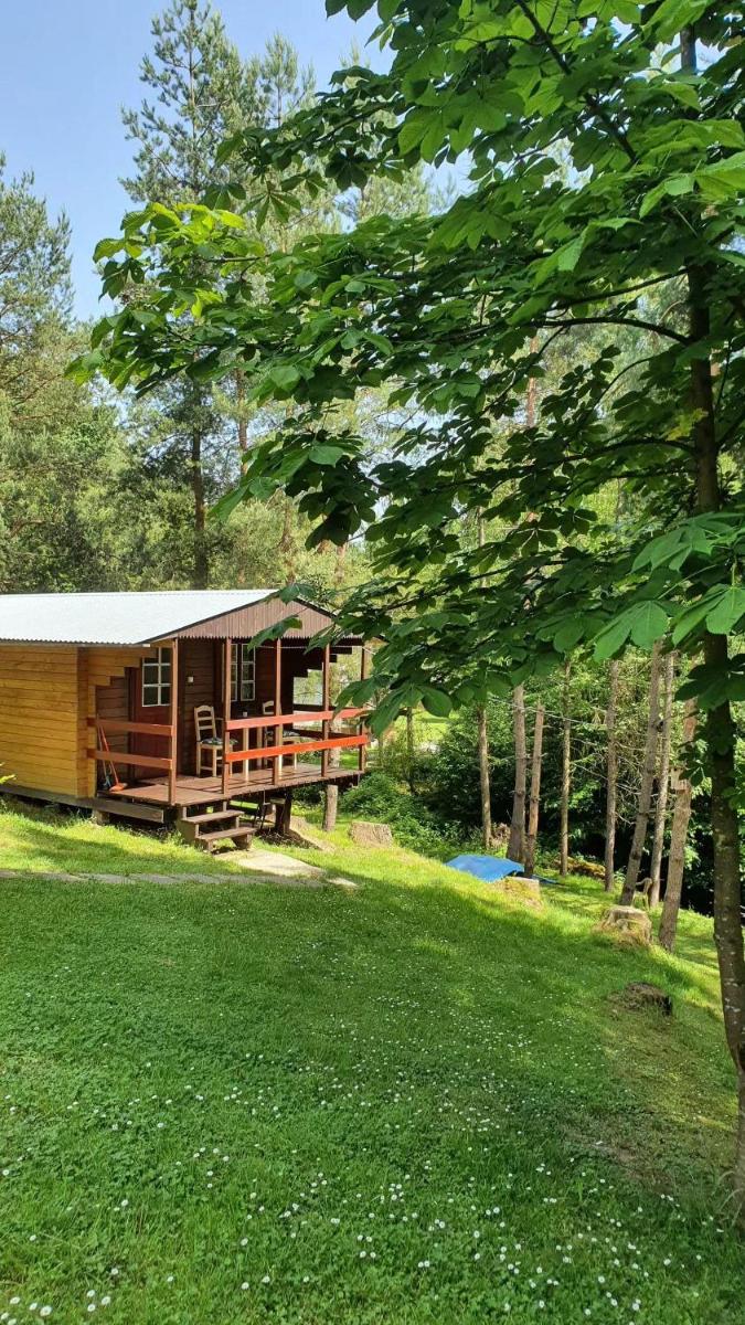 Domki letniskowe pod Brzozami Stella - Housity
