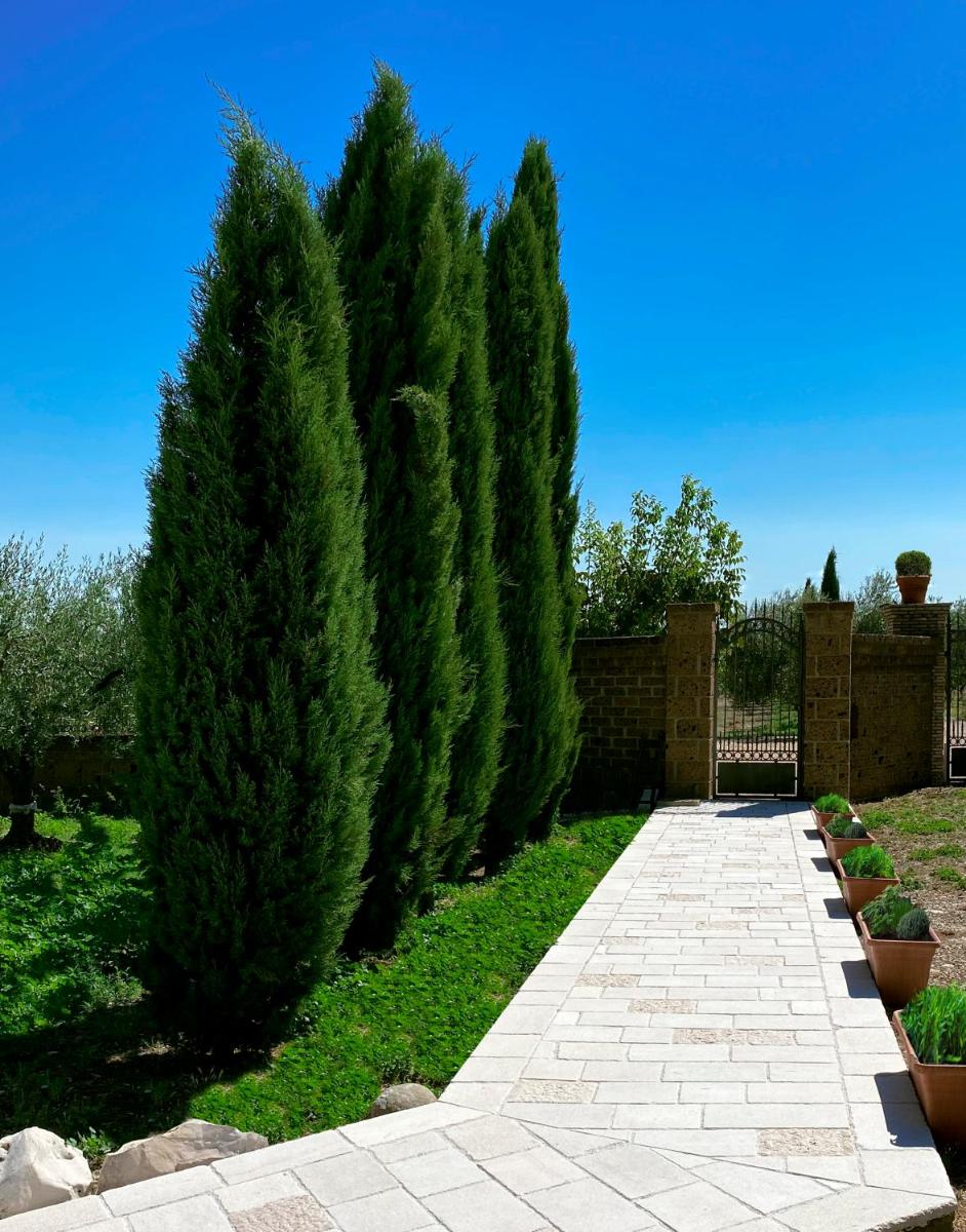 Le Tre Lune B&B - Hizvo