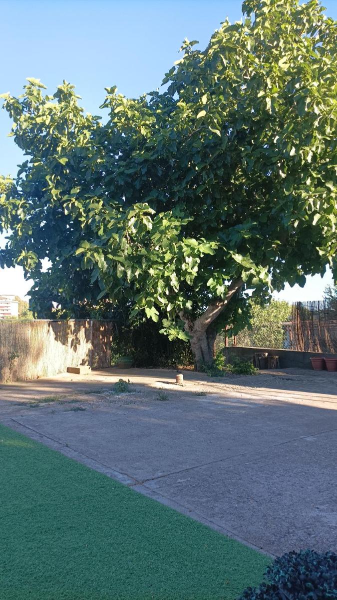 Coqueta y agradable casita muy cerquita del centro - Housity