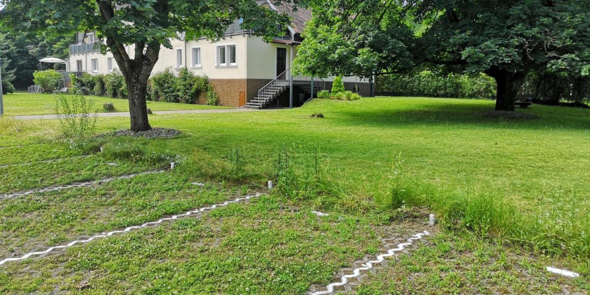 Niederwald - Ferienwohnungen mit Fotografie-Angeboten - Housity
