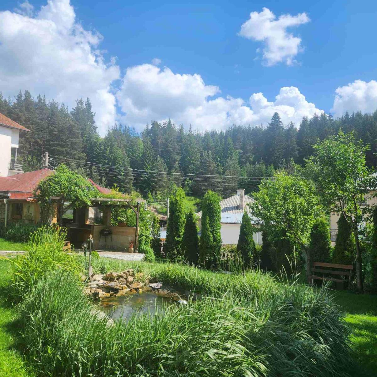 Guesthouse Classic - Housity
