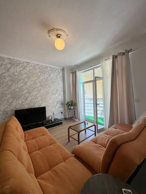 Coral Apartment - Housity