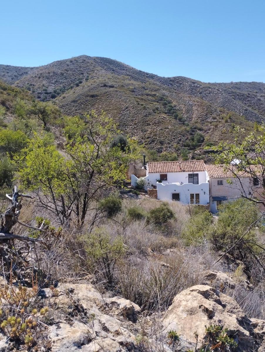 Cortijo tranquilo, Albanchez, Almeria Province - Housity