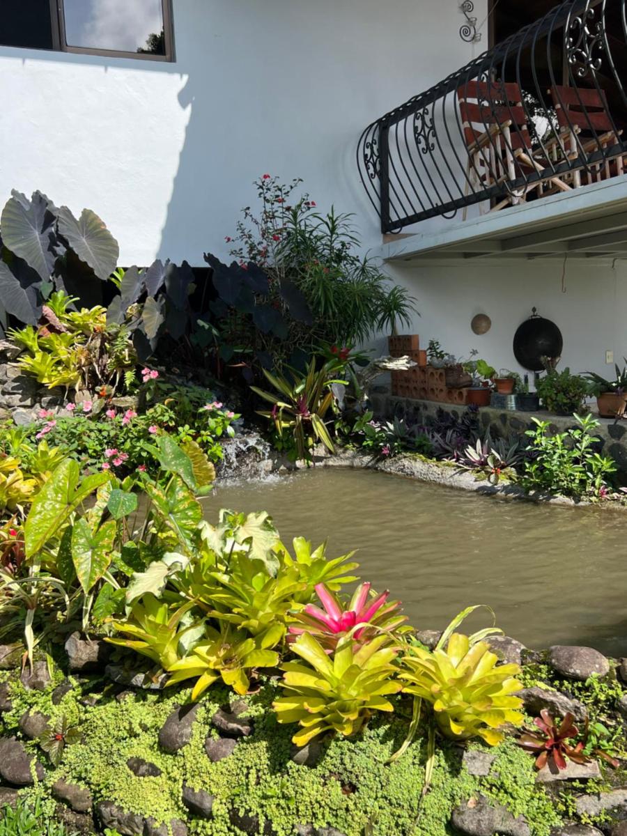 Bromelia House - Housity