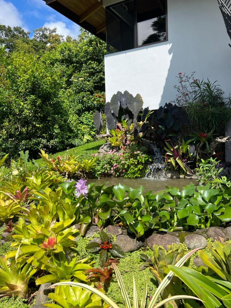 Bromelia House - Housity