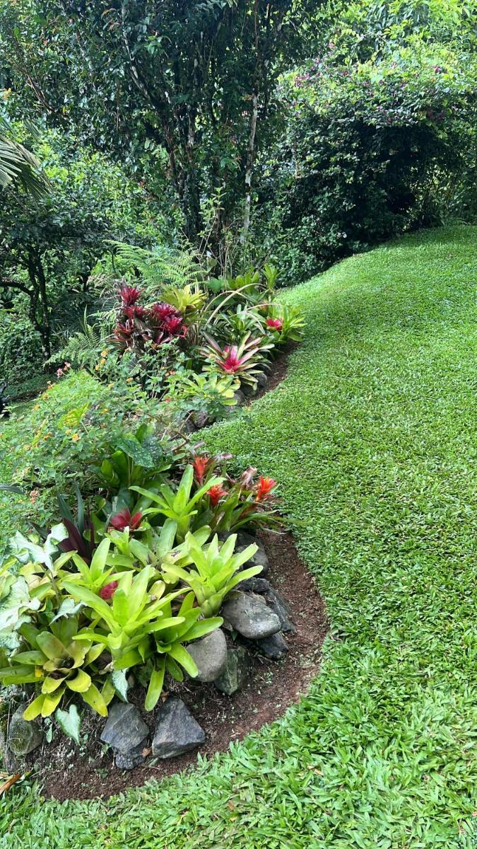 Bromelia House - Housity