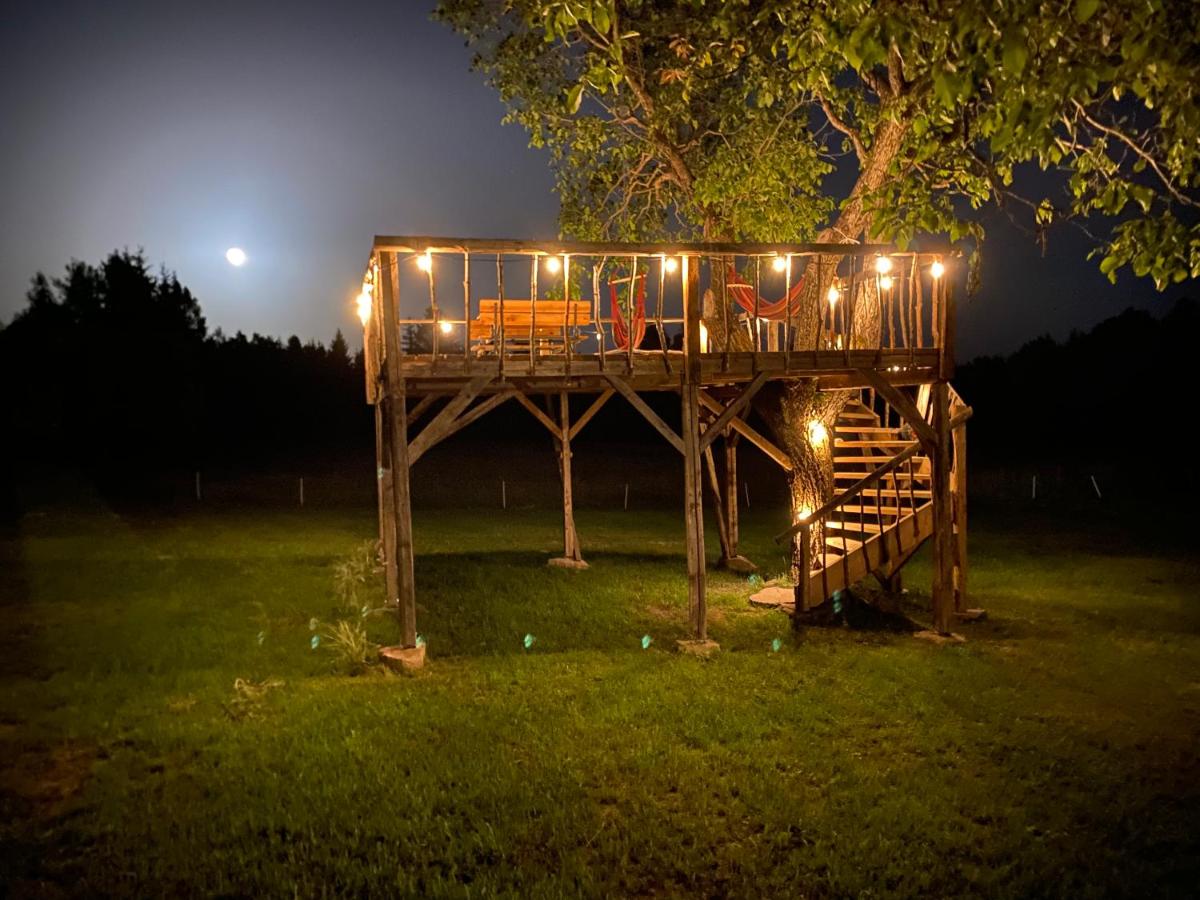 Holiday Nature House - Housity