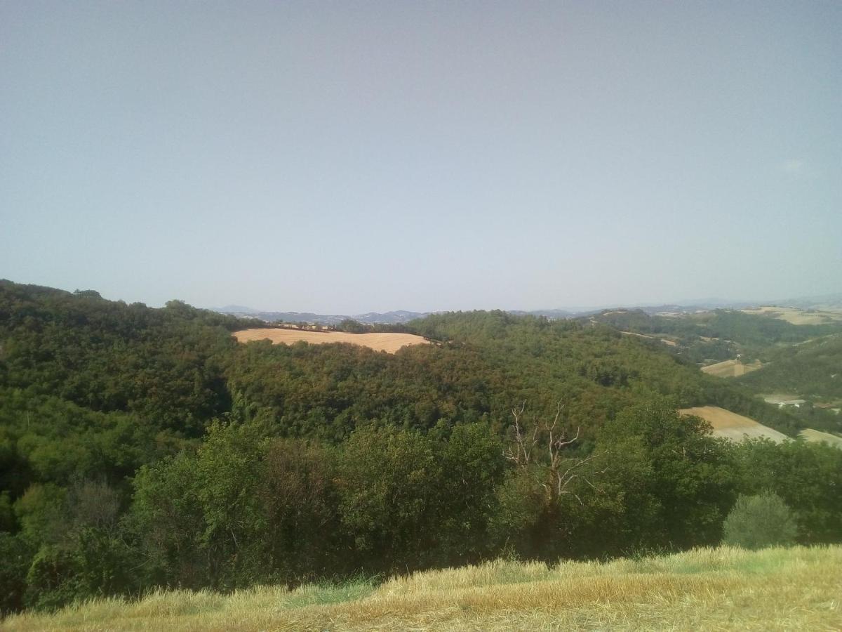 Piccolo Gesto d'Affetto - Housity