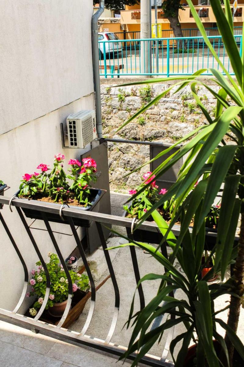 Apartments Ajla - Housity