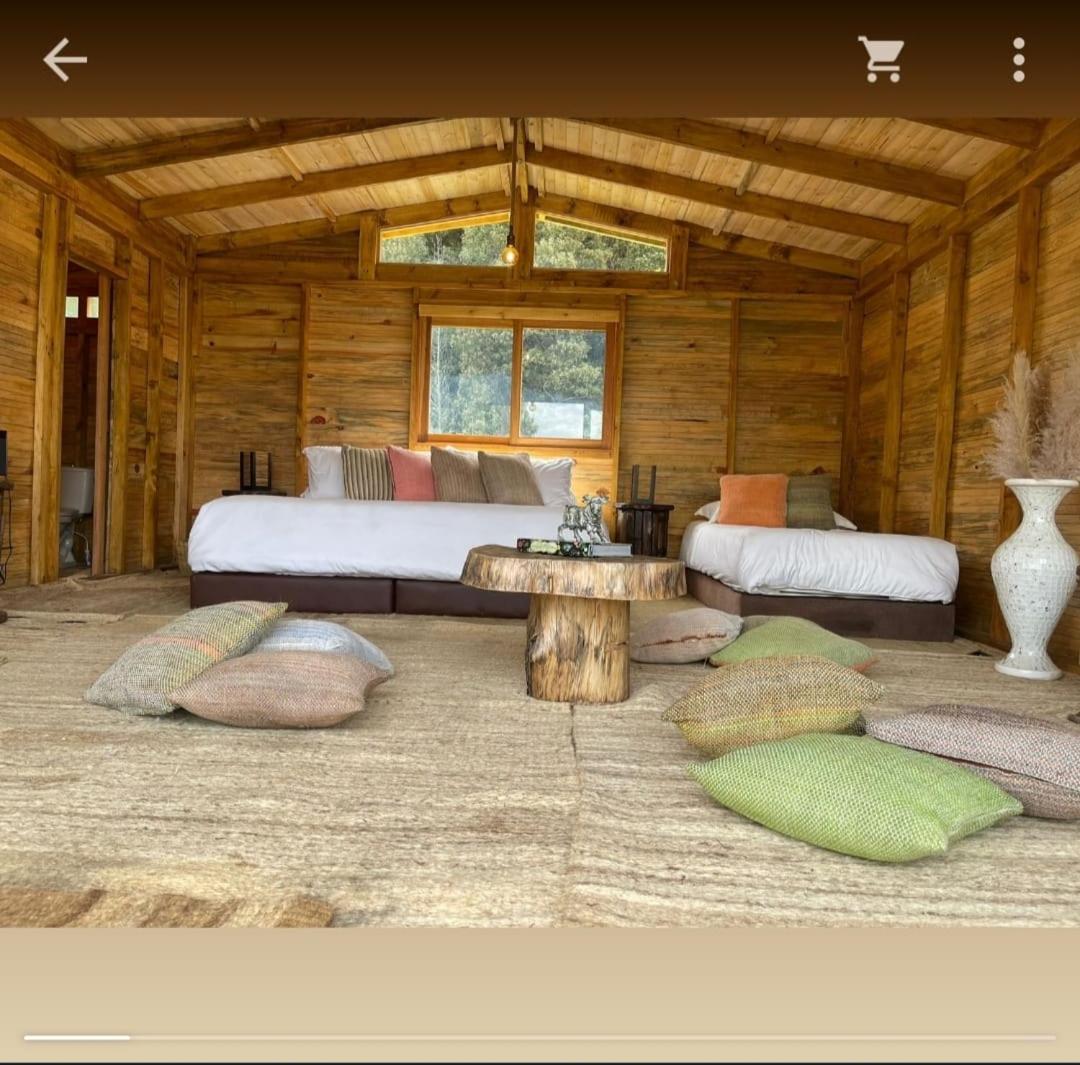 Glampwild Zaquencipa - Housity