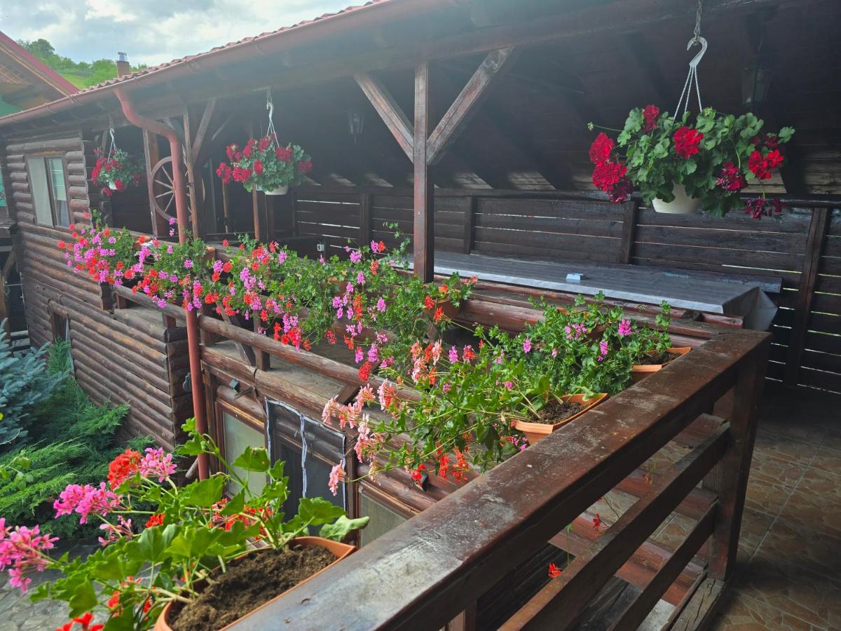 Casa Baciu - Housity