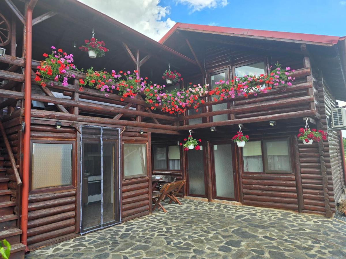 Casa Baciu - Housity
