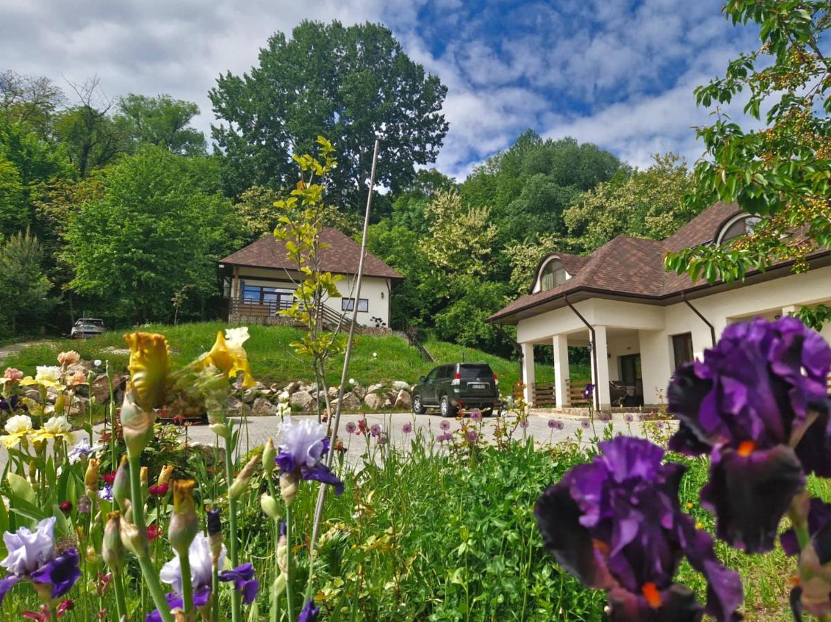 Provence Suceava - Housity