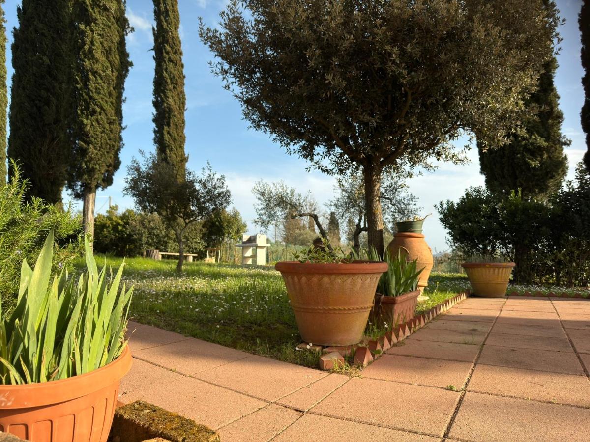 Villa del Biondo - Housity