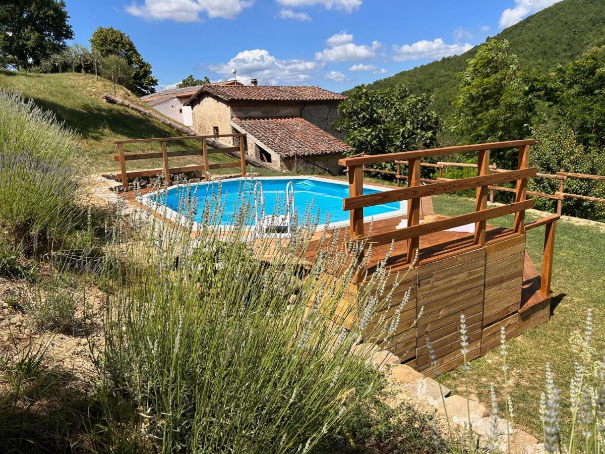 La casa del Tiglio - Housity
