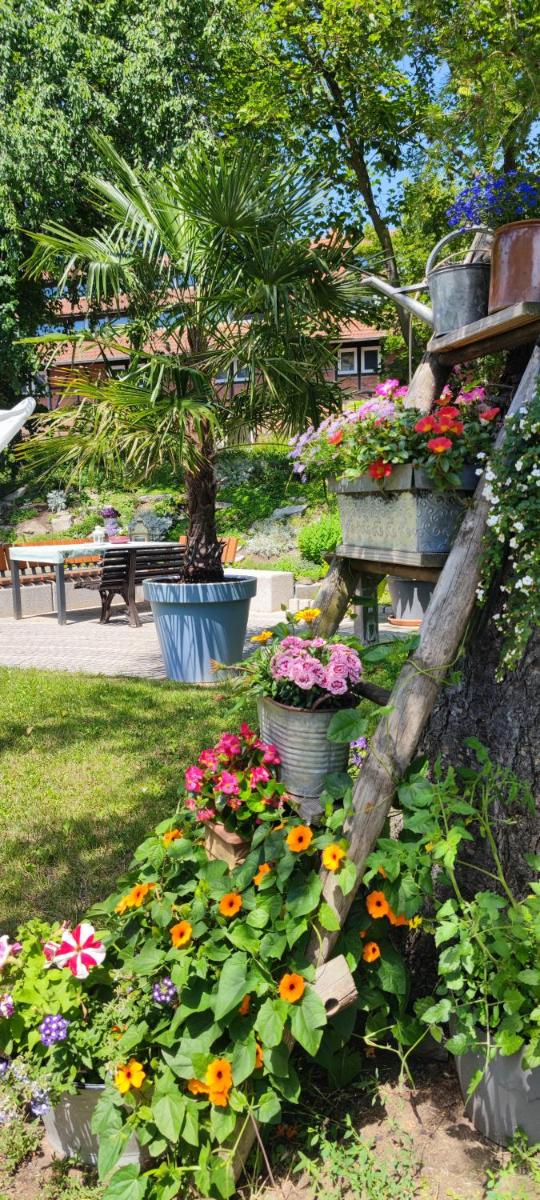 Apartment im Grünen mit Anbindung ans Zentrum - Housity