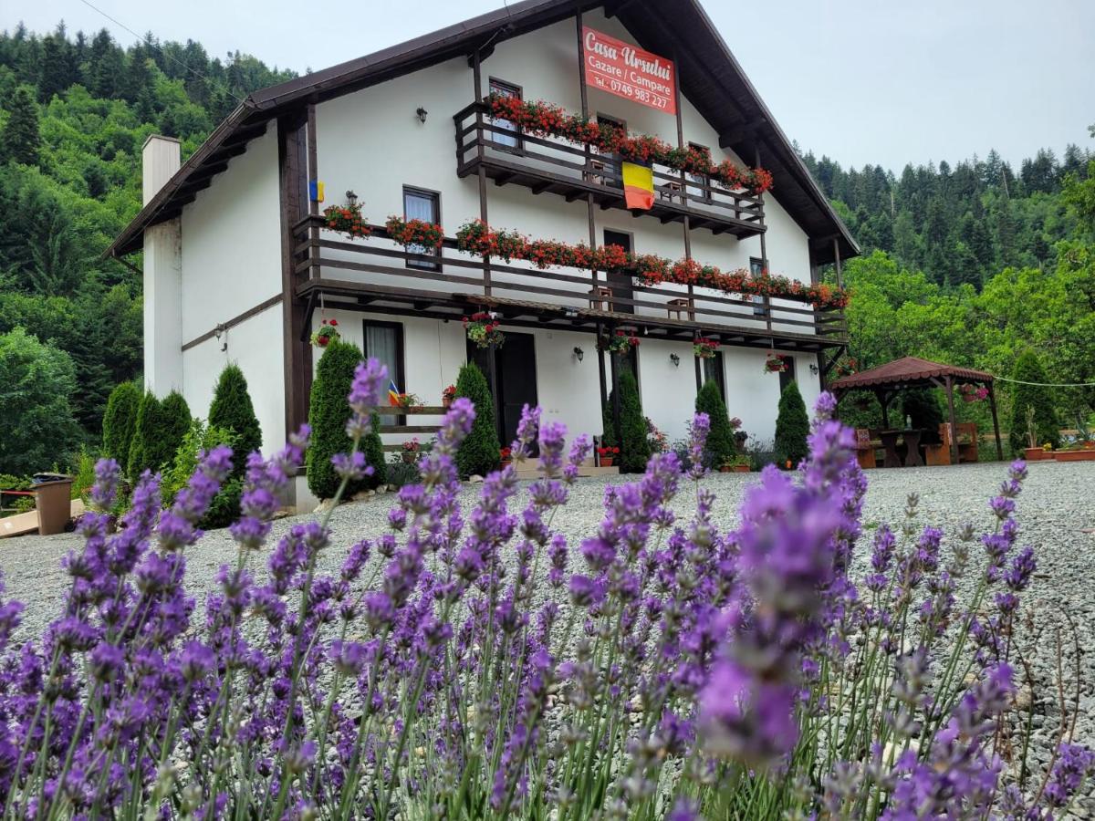Casa Ursului - Housity