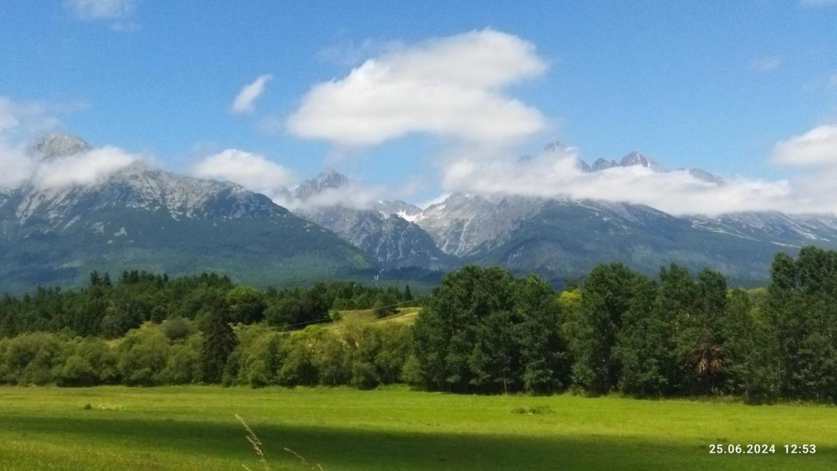 Lucky Kitten , High Tatras - Housity