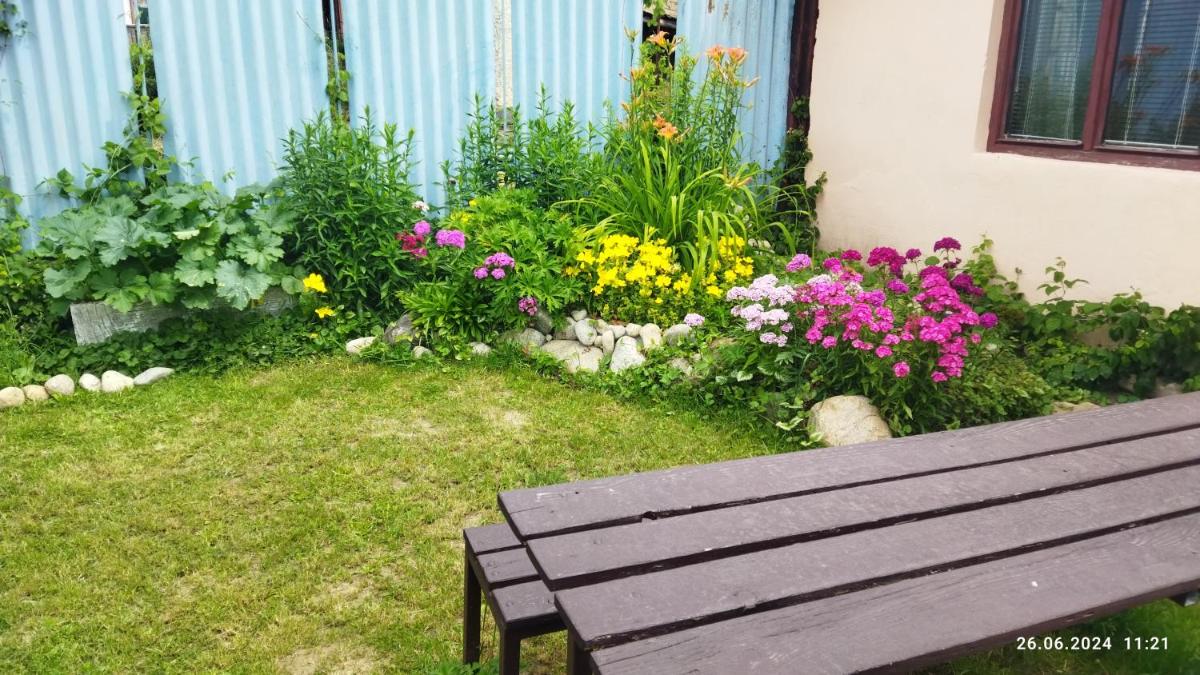 Lucky Kitten , High Tatras - Housity