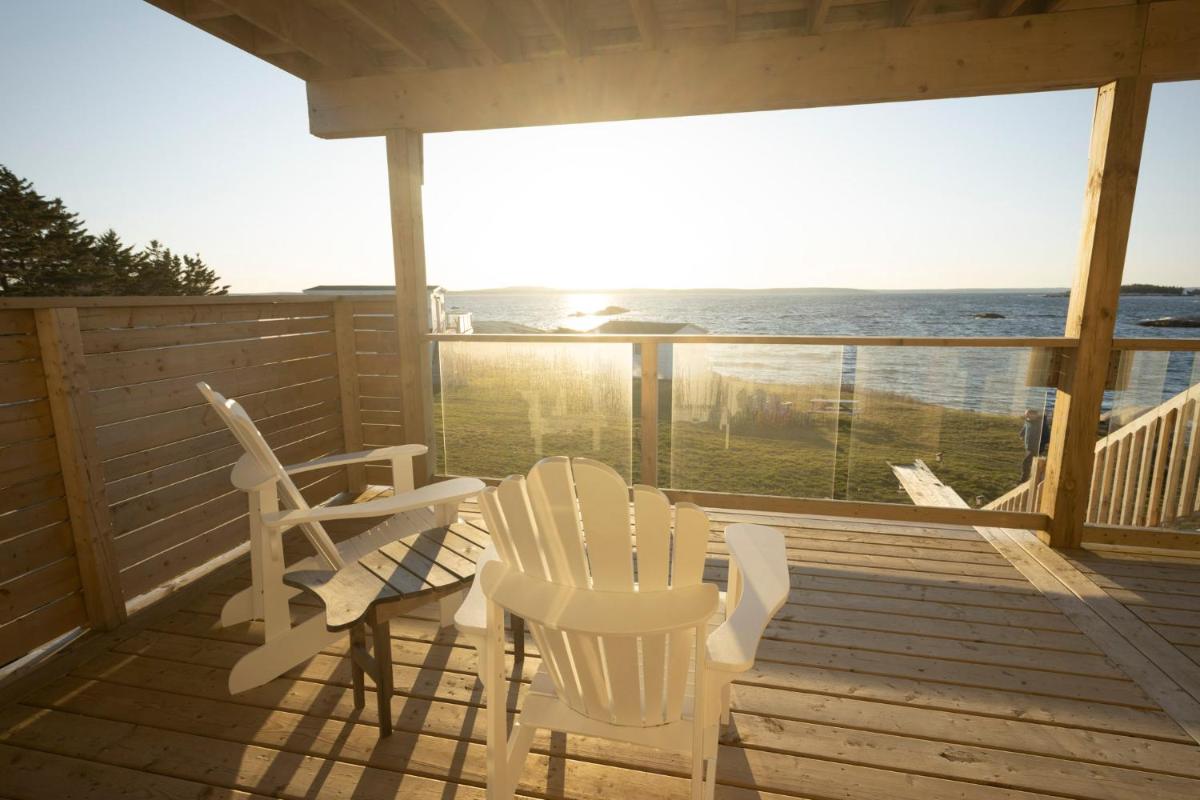 Sand Dollar - Housity
