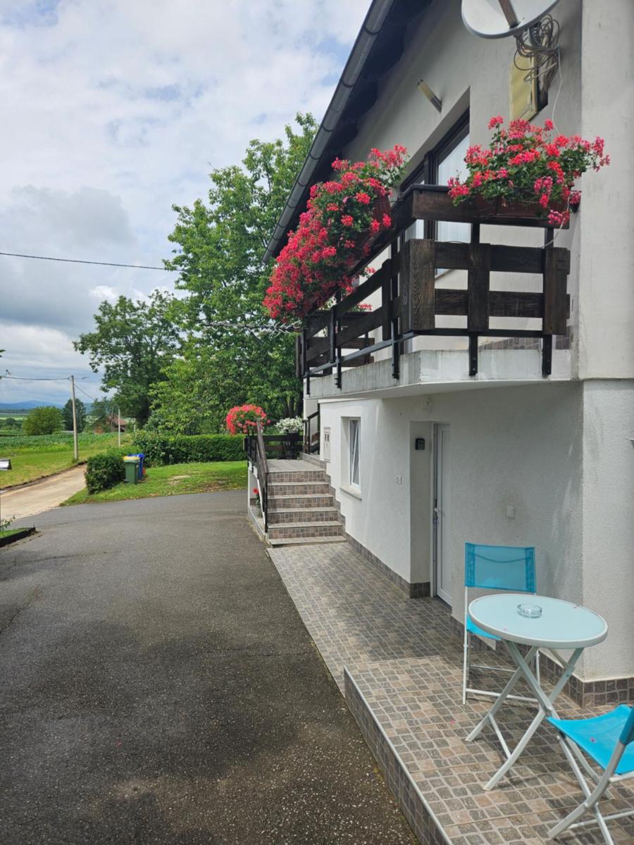 Apartments Luka - Housity