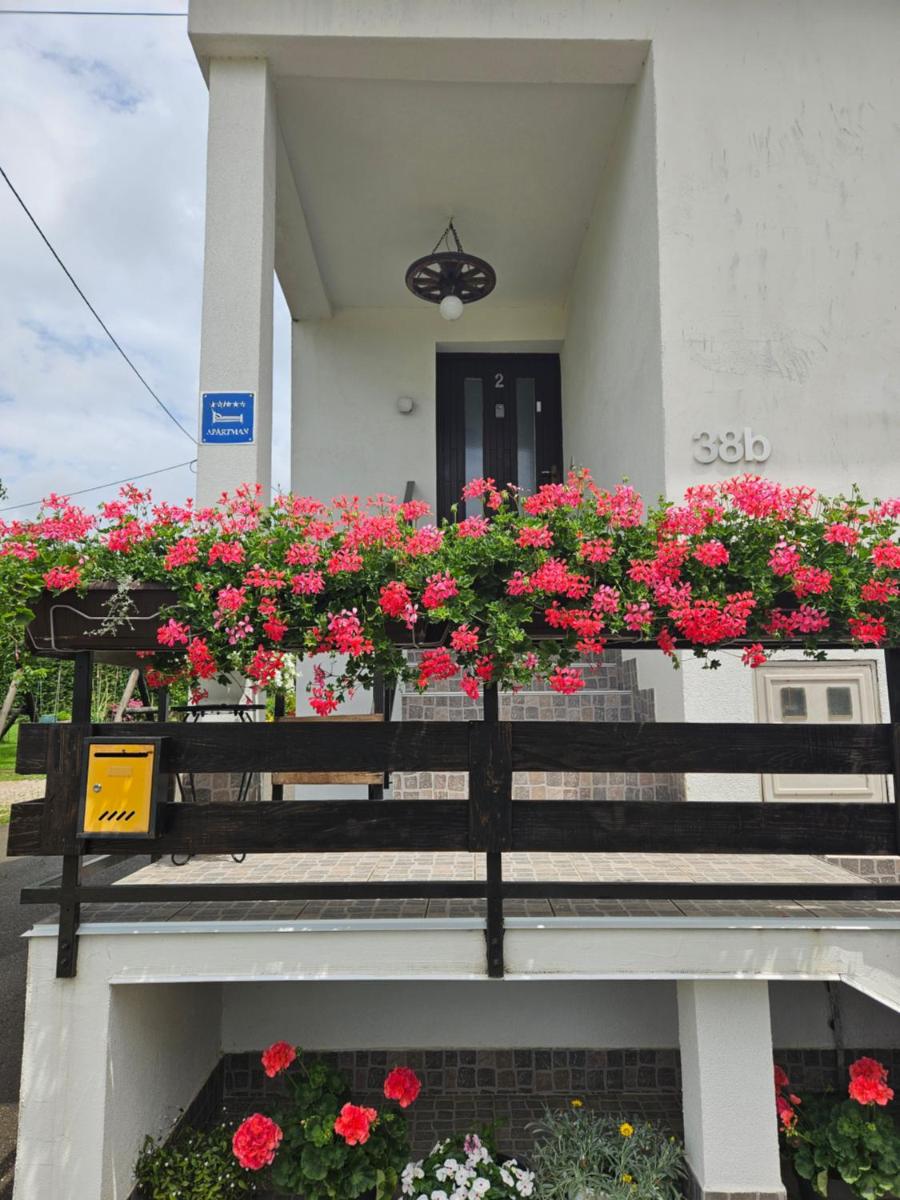 Apartments Luka - Housity
